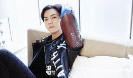 今日爆料陈伟霆视频全集,揭秘全貌背后的惊人真相