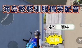 吃鸡爆笑爆料视频大全最新,笑料横生！揭秘吃鸡爆笑爆料视频大全幕后趣事