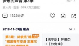 小鱼网怎么置顶爆料视频,如何轻松置顶爆料视频，抢占热门话题制高点